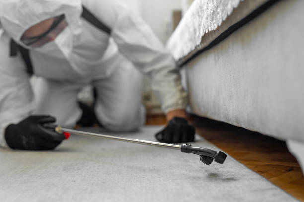 Professional Bed Bug Control technician working in Lancaster, PA